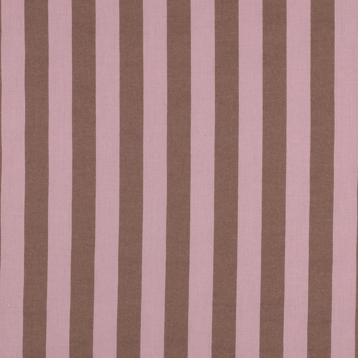 Statement Cotton Checks & Stripes