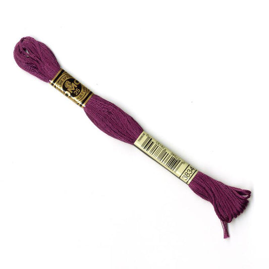 DMC Mouliné Embroidery Thread - 3834