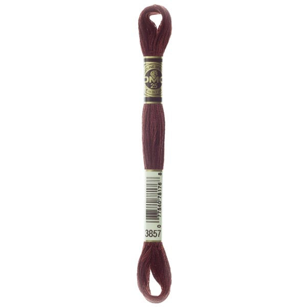 DMC Mouliné Embroidery Thread - 3857