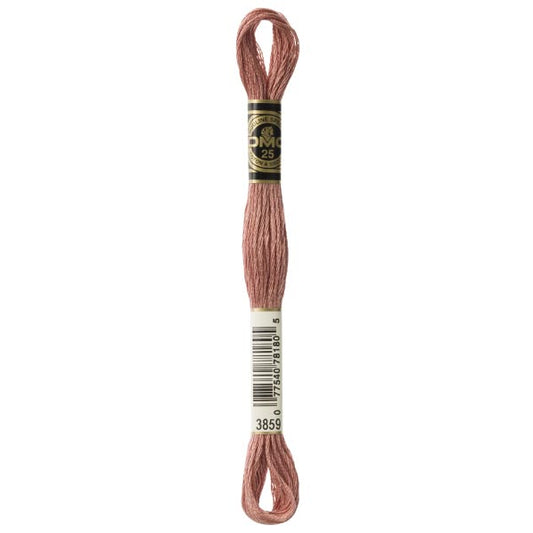 DMC Mouliné Embroidery Thread - 3859