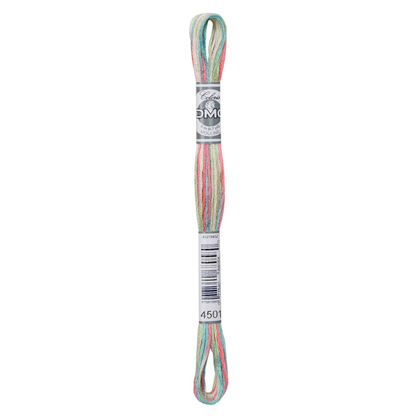 DMC Coloris Embroidery Thread - 4501