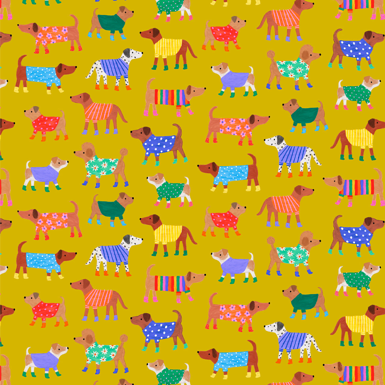 Dashwood Studio - Splash - Dogs