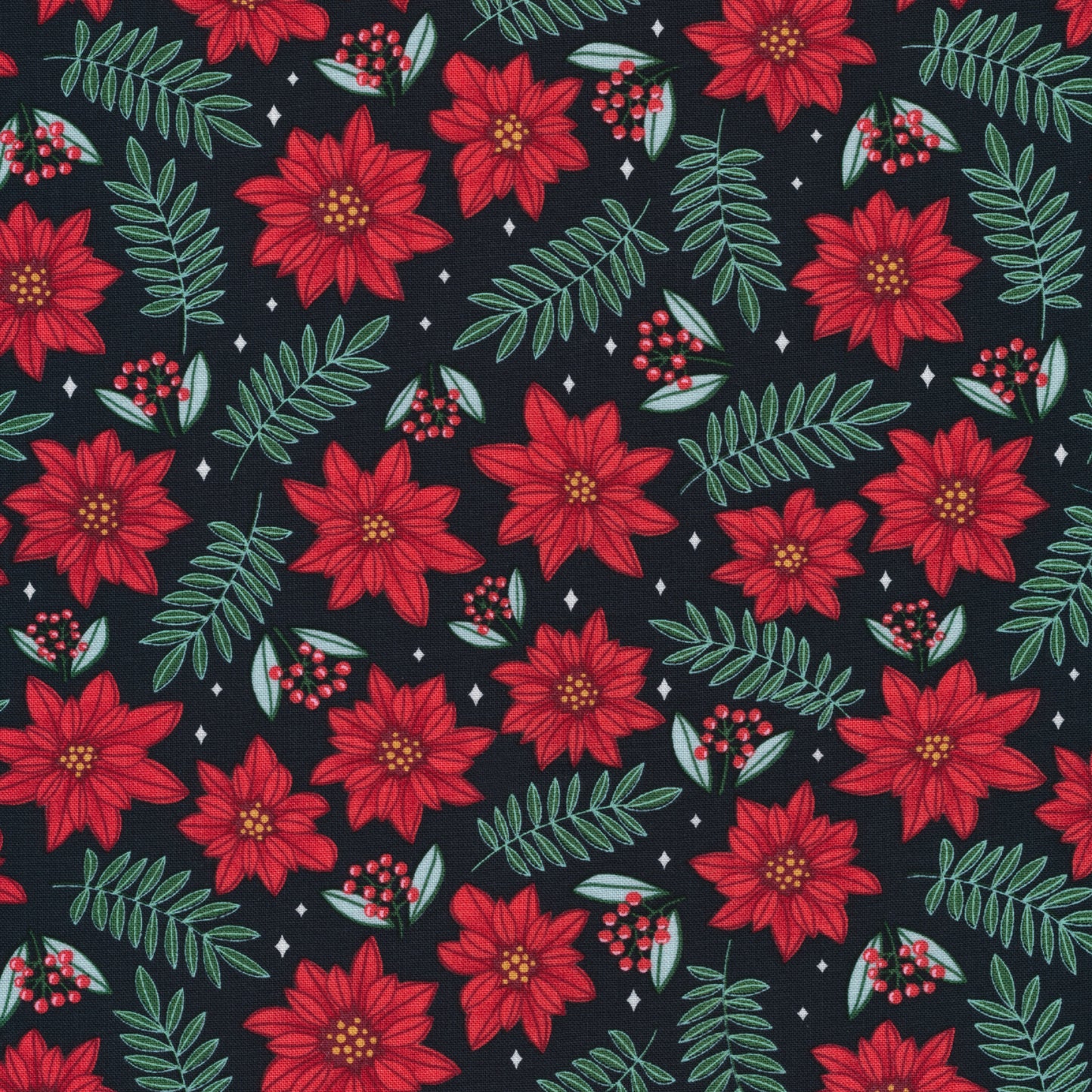 Cloud 9 - Winter Wonderland - Poinsettia Parade