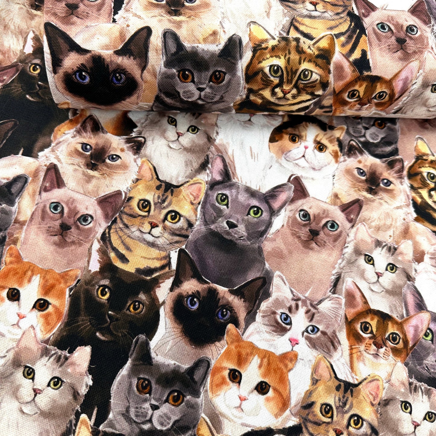 Cats! Cotton Canvas