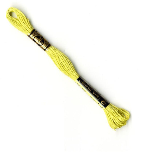 DMC Mouliné Embroidery Thread - 165
