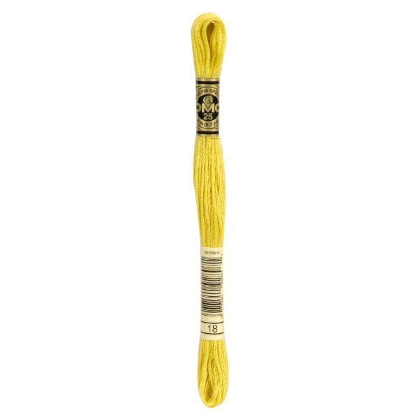 DMC Mouliné Embroidery Thread - 018