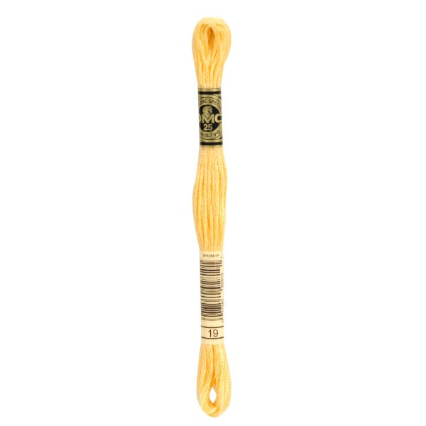 DMC Mouliné Embroidery Thread - 019