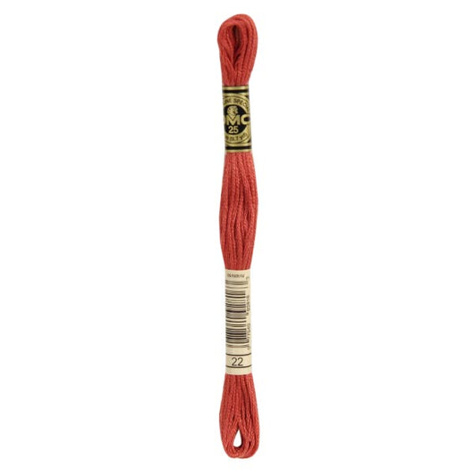 DMC Mouliné Embroidery Thread - 022
