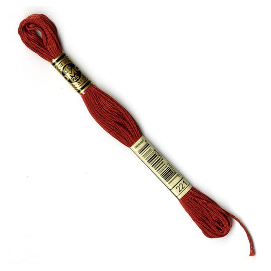 DMC Mouliné Embroidery Thread - 221
