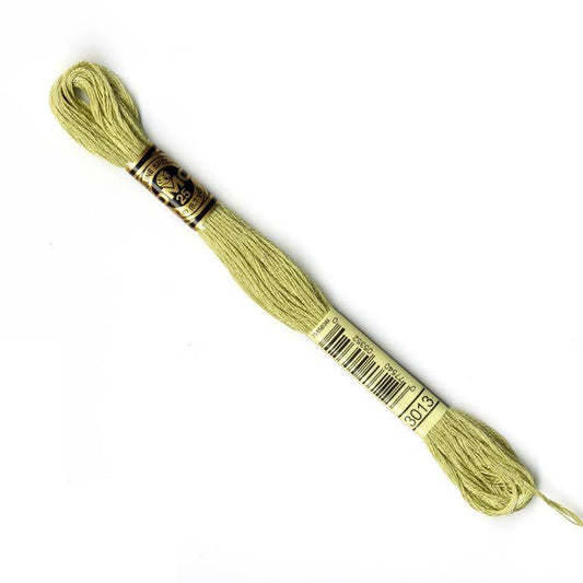 DMC Mouliné Embroidery Thread - 3013