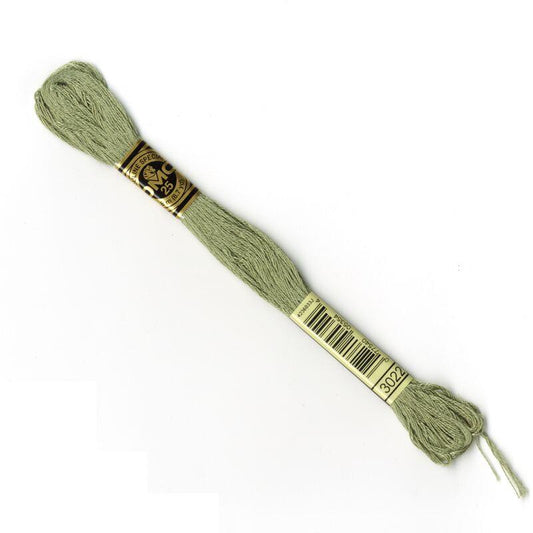 DMC Mouliné Embroidery Thread - 3022