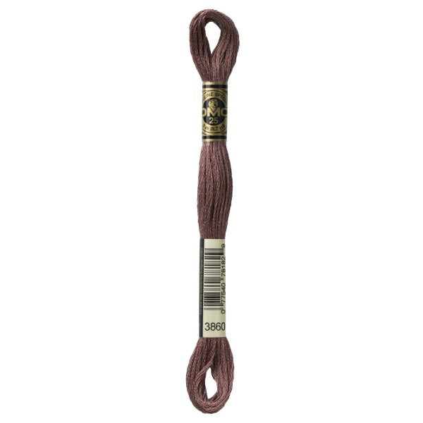 DMC Mouliné Embroidery Thread - 3860