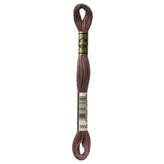 DMC Mouliné Embroidery Thread - 3860
