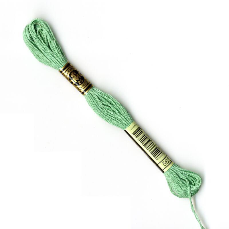 DMC Mouliné Embroidery Thread - 563