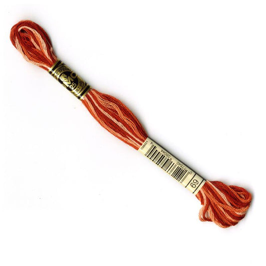 DMC Mouliné Embroidery Thread - 069