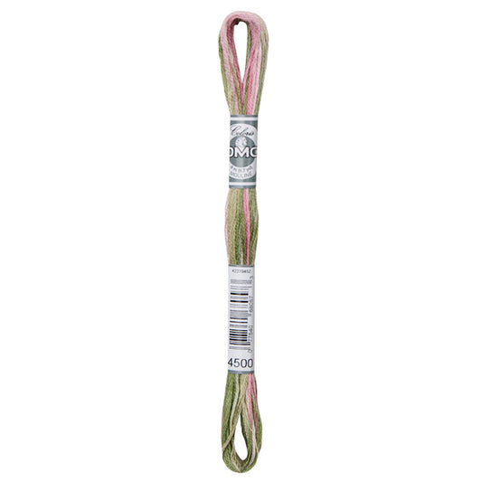 DMC Coloris Embroidery Thread - 4500