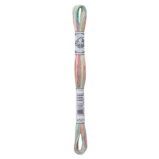 DMC Coloris Embroidery Thread - 4501