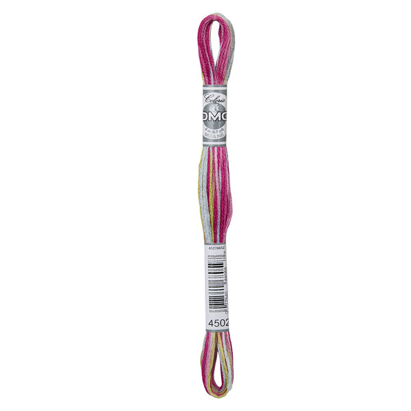 DMC Coloris Embroidery Thread - 4502