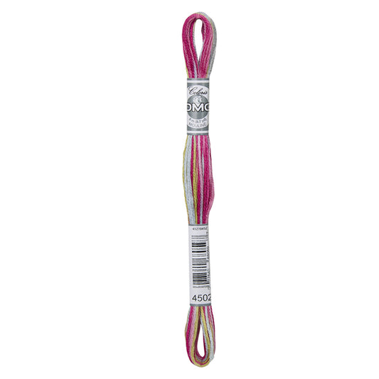 DMC Coloris Embroidery Thread - 4502