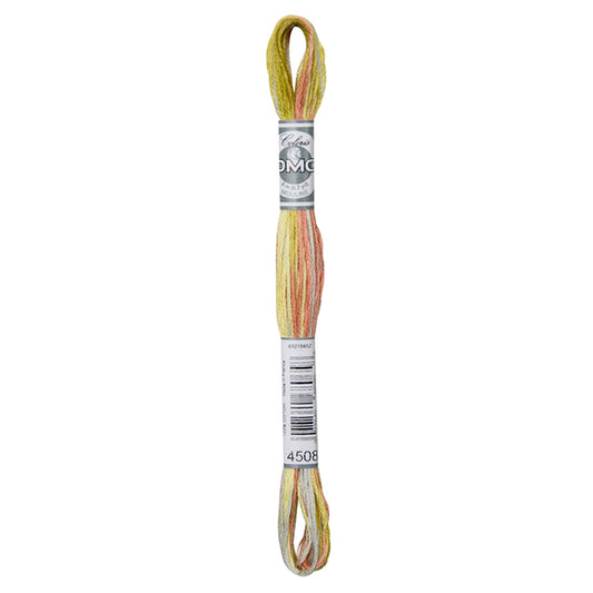 DMC Coloris Embroidery Thread - 4508