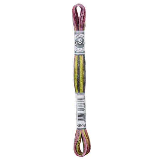 DMC Coloris Embroidery Thread - 4509