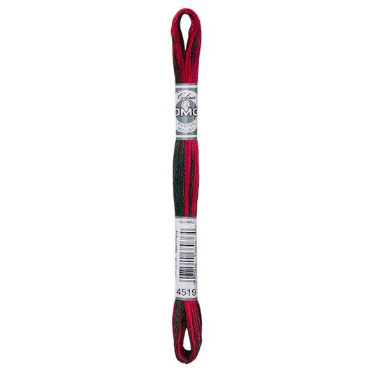 DMC Coloris Embroidery Thread - 4519