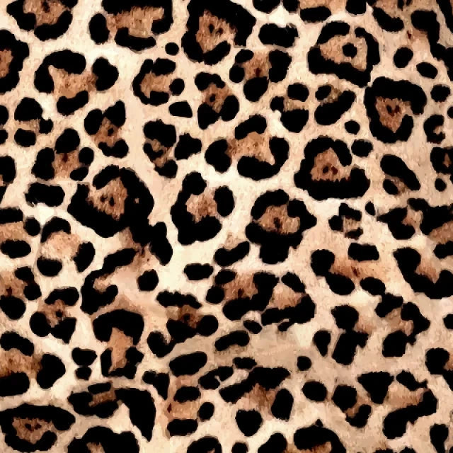 Leopard Print Cotton Jersey