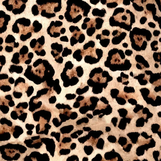 Leopard Print Cotton Jersey