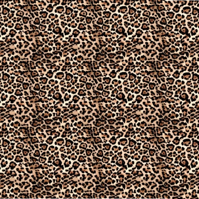 Leopard Print Cotton Jersey