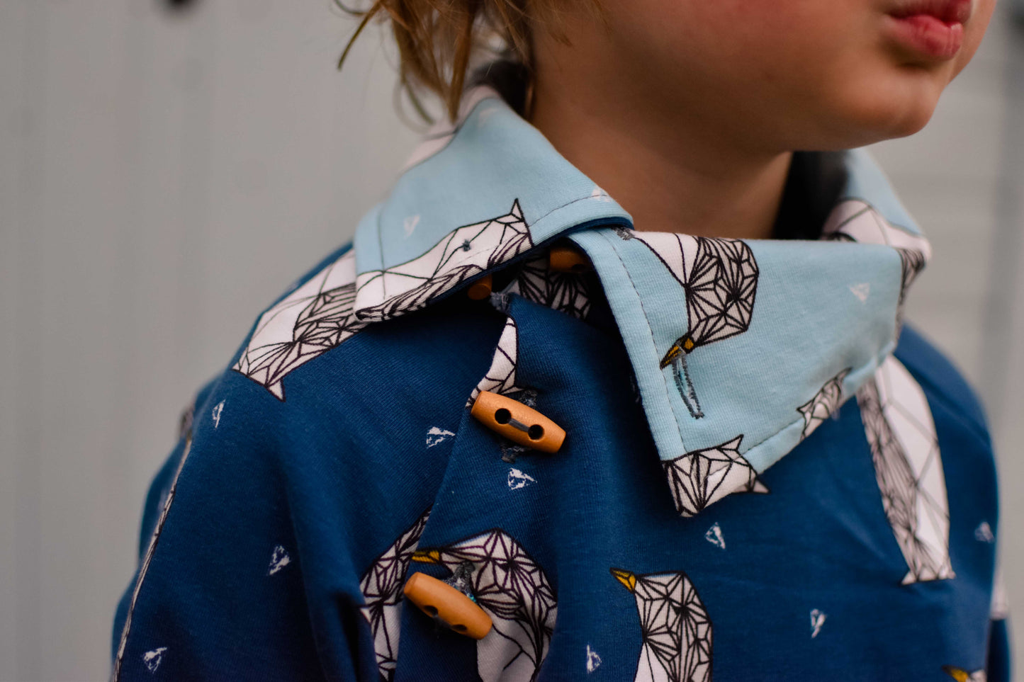 Waves & Wild - Adventurer Raglan - Child - PDF Pattern