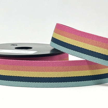 40mm Webbing - Muted Rainbow